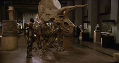 night at the museum triceratops